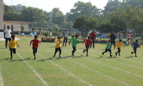 Diwali Celebration